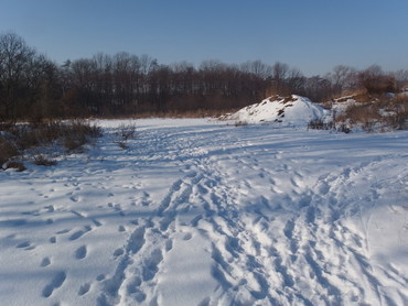 Pozemek 5165m², Popovičky
