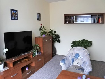 Cihlový byt 3+1, OV, 95m²